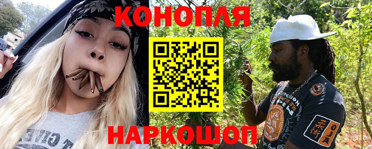 Бошки Шишки семена Богородск